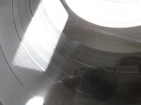 Load image into Gallery viewer, Bee Gees ‎Life In A Tin Can MW 2066 with OBI Japan LP Vinyl
