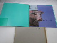 Load image into Gallery viewer, Akiko Yano Ai ga nakuchane JAL-1801 with OBI Japan LP Vinyl
