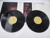 Load image into Gallery viewer, ALLMAN BROTHERS BAND AT FILLMORE EAST SJET-9565,6 with OBI Japan LP Vinyl B
