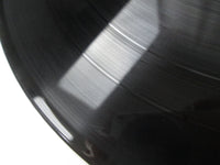 Load image into Gallery viewer, Ted Nugent Double Live Gonzo! 40 3P-65,6 with OBI Japan LP Vinyl
