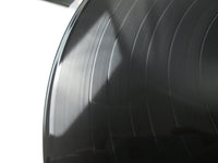 Load image into Gallery viewer, BLONDIE BEST OF CHRYSALIS WWS-90110 with OBI Japan LP Vinyl
