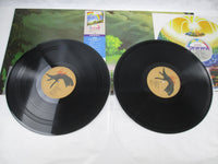 Load image into Gallery viewer, MASAYOSHI TAKANAKA RAINBOW GOBLINS KITTY 36MK 9101,2 with OBI Japan LP Vinyl
