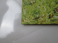 Load image into Gallery viewer, Dalida Et Delon Paroles Paroles SR-824 with OBI Japan LP Vinyl
