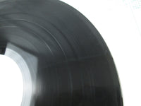 Load image into Gallery viewer, Jane ‎Together Promo 22S-25 with OBI Japan LP Vinyl
