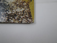 Load image into Gallery viewer, Jimi Hendrix Band Of Gypsys Polydor MPX-4010 with OBI Japan LP Vinyl
