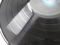 Load image into Gallery viewer, Wishbone Ash Classic Ash VIM-20001 with OBI Japan LP Vinyl
