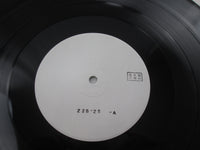 Load image into Gallery viewer, Jane ‎Together Promo 22S-25 with OBI Japan LP Vinyl
