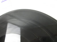 Load image into Gallery viewer, Jane ‎Together Promo 22S-25 with OBI Japan LP Vinyl
