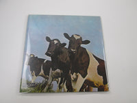 Load image into Gallery viewer, PINK FLOYD ATOM HEART MOTHER EMI OP-80102 with OBI Japan LP Red Vinyl

