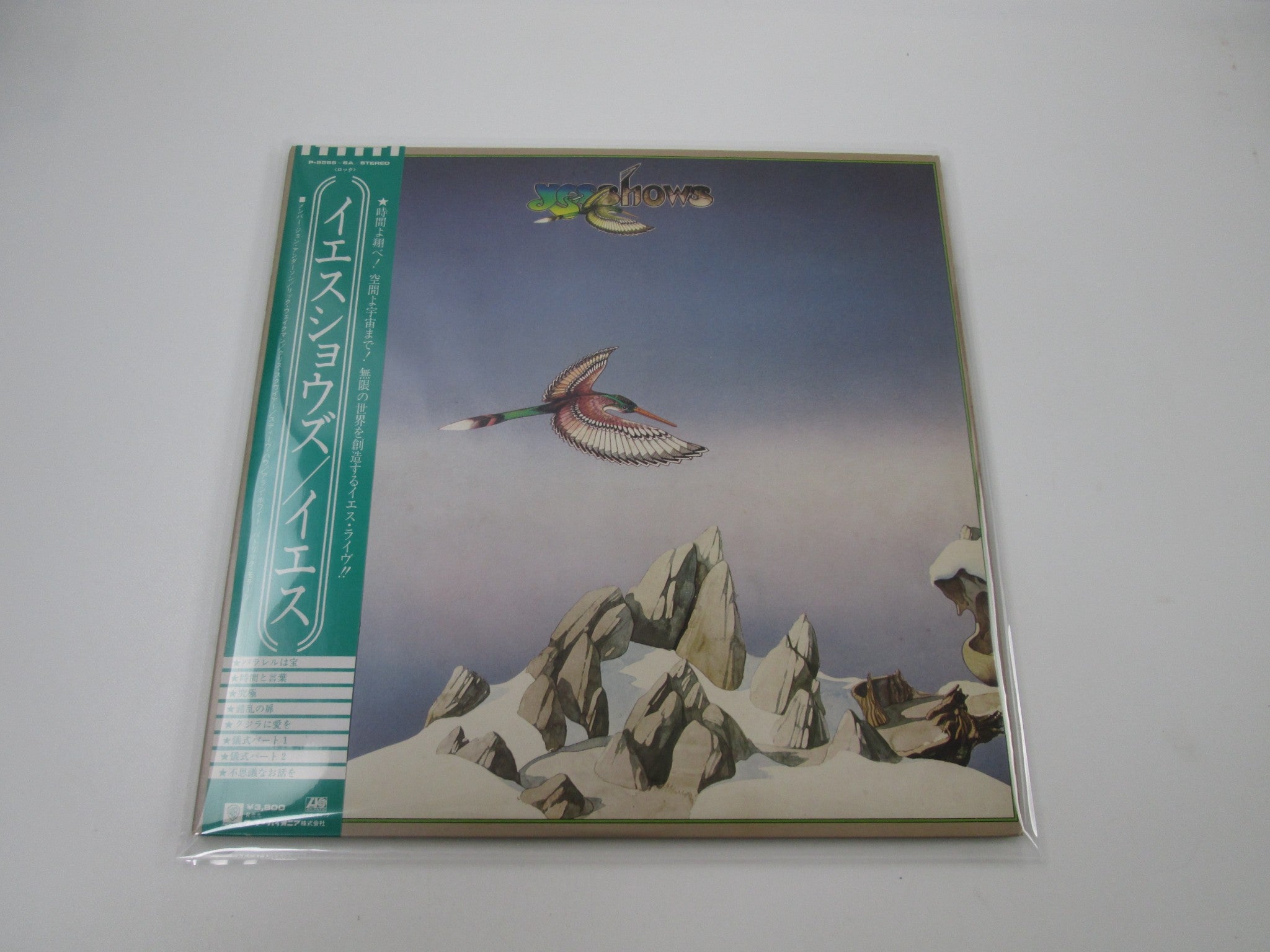 Y | Japan Records Vinyl Store OBI-ya