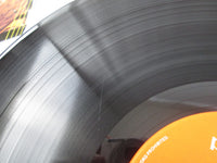 Load image into Gallery viewer, Millie Jackson I Had To Say It 28MM 0016 with OBI Japan LP Vinyl
