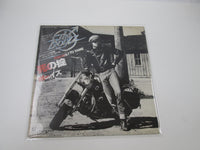 Load image into Gallery viewer, The Boyzz Too Wild To Tame Promo 25 3P-20 with OBI Japan LP Vinyl
