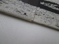 Load image into Gallery viewer, The Boyzz Too Wild To Tame Promo 25 3P-20 with OBI Japan LP Vinyl
