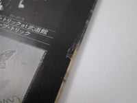 Load image into Gallery viewer, The Boyzz Too Wild To Tame Promo 25 3P-20 with OBI Japan LP Vinyl
