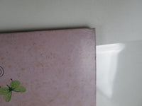 Load image into Gallery viewer, Jethro Tull A Passion Play Promo WWS-80940 with OBI Japan LP Vinyl
