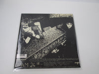 Load image into Gallery viewer, Alien Sex Fiend Maximum Security 35152-25 No OBI Japan LP Vinyl
