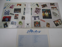 Load image into Gallery viewer, Bee Gees History RSO ‎38MW 0029,30 with OBI Japan LP Vinyl
