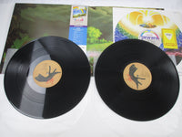 Load image into Gallery viewer, MASAYOSHI TAKANAKA RAINBOW GOBLINS 36MK 9101,2 with OBI Pick Japan LP Vinyl
