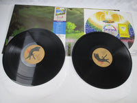 Load image into Gallery viewer, MASAYOSHI TAKANAKA RAINBOW GOBLINS 36MK 9101,2 with OBI Pick Japan LP Vinyl
