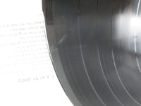 Load image into Gallery viewer, Chicago Greatest Hits 36AP 2453,4 with OBI Japan LP Vinyl
