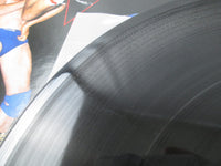 Load image into Gallery viewer, WRESTLING THEME SONG,WESTERN LARIAT VAP 30036-25 with OBI Japan LP Vinyl B
