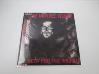 Load image into Gallery viewer, New Model Army No Rest For The Wicked EMS-81730 with OBI Japan LP Vinyl

