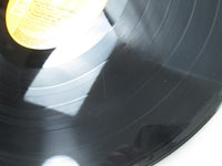 Load image into Gallery viewer, ELVIS PRESLEY NOW VICTOR SHP-6240 with OBI Japan LP Vinyl

