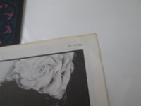 Load image into Gallery viewer, Strawberry Switchblade 1st Press Korova P-13120 with OBI Japan LP Vinyl
