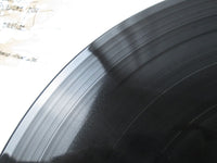 Load image into Gallery viewer, Lou Reed Berlin PG-131 with OBI Japan LP Vinyl
