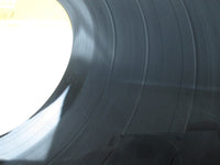 Load image into Gallery viewer, Aerosmith ‎Toys In The Attic SOPO-71 1st Press with OBI Poster Japan LP Vinyl
