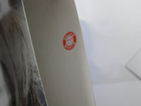 Load image into Gallery viewer, MADONNA TRUE BLUE SIRE P-13310 with OBI Gold Disc Emblem Japan LP Vinyl
