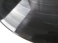 Load image into Gallery viewer, JANIS JOPLIN FAREWELL SONG CBS/SONY 25AP 2277 with OBI Japan VINYL LP
