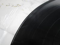 Load image into Gallery viewer, It's A Beautiful Day ‎Marrying Maiden 20AP 1972 with OBI Japan LP Vinyl

