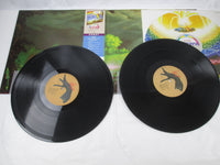 Load image into Gallery viewer, MASAYOSHI TAKANAKA RAINBOW GOBLINS KITTY 36MK 9101,2 with OBI Japan LP Vinyl
