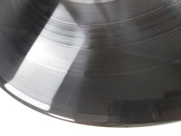 Load image into Gallery viewer, JAPAN GENTLEMEN TAKE POLAROIDS VIRGIN VIP-6969 with OBI Japan LP Vinyl
