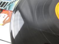 Load image into Gallery viewer, Mazinger Z English Ver CZ-7005 with OBI Japan LP Vinyl
