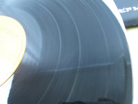 Load image into Gallery viewer, Mazinger Z English Ver CZ-7005 with OBI Japan LP Vinyl
