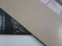 Load image into Gallery viewer, AEROSMITH NIGHT IN THE RUTS CBS/SONY 25AP 1601 with OBI Japan LP Vinyl
