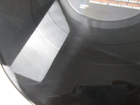 Load image into Gallery viewer, Dennis Ferrer Feat. Mia Tuttavilla Touched The Sky DFTD-156 LP Vinyl
