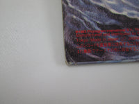 Load image into Gallery viewer, DIO HOLY DIVER MERCURY 25PP-87 with OBI Japan LP Vinyl
