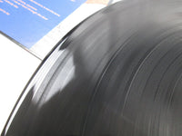 Load image into Gallery viewer, The Alan Parsons Project Pyramid Arista 25RS-69 with OBI Japan LP Vinyl
