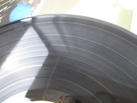 Load image into Gallery viewer, JANIS JOPLIN NEW GOLD DISC CBS/SONY SOPO 48 with OBI Japan LP Vinyl
