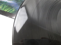 Load image into Gallery viewer, FLEETWOOD MAC TANGO IN THE NIGHT WARNER P-13490 with OBI Japan LP Vinyl
