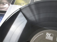 Load image into Gallery viewer, Erick Sermon Double Or Nothing 314529286 LP Vinyl
