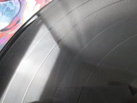 Load image into Gallery viewer, MOTORHEAD ANOTHER PERFECT DAY BRONZE VIL-6055 with OBI Japan LP Vinyl
