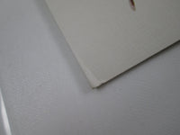 Load image into Gallery viewer, Eagles On The Border Asylum Records P-6558Y with OBI Japan LP Vinyl
