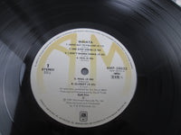 Load image into Gallery viewer, Split Enz Waiata Promo AMP-28033 with OBI Japan LP Vinyl
