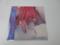 Load image into Gallery viewer, MADISON BEST IN SHOW VIL-28036 with OBI Japan VINYL LP
