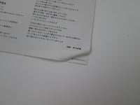 Load image into Gallery viewer, Jason &amp; The Scorchers Lost &amp; Found EYS-81711 with OBI LP Japan Vinyl
