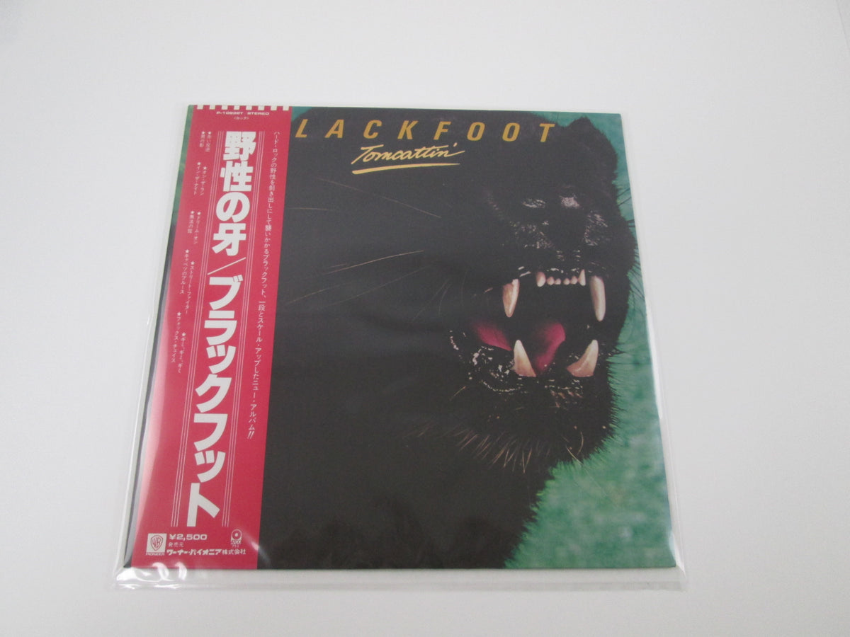 Blackfoot Tomcattin' ATCO Records P-10838T with OBI Japan VINYL LP